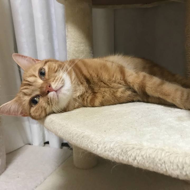 88ed2411 f841 40ff a4c3 ec313181e8c3 1530657344345