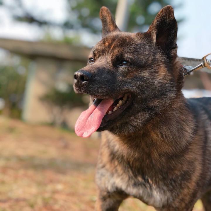 88ed25dd 9366 4218 b9e2 28710c0c0568 1521973501483