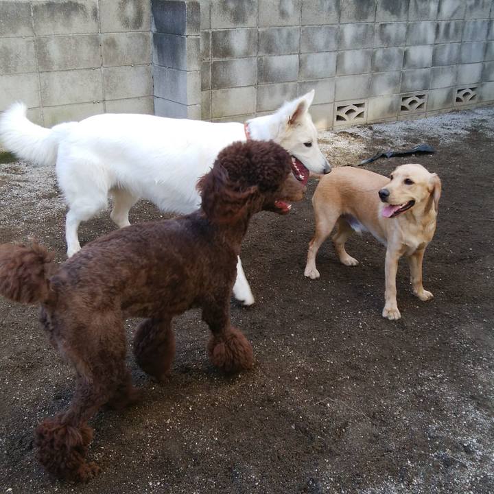 88ed2ab8 bb27 46e4 8712 87e1e82bf92e 1510812618819