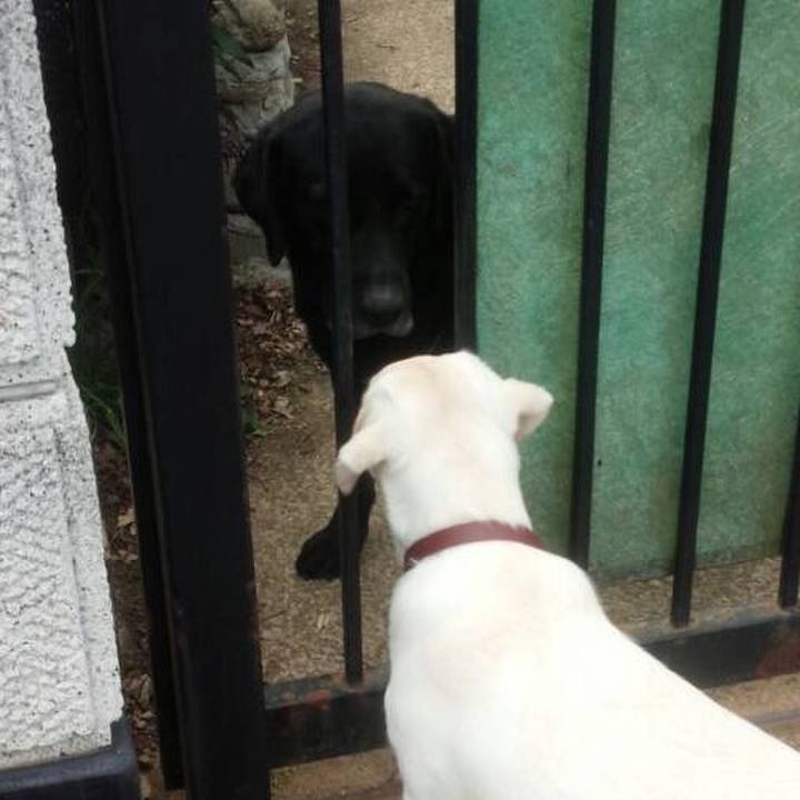 88eda5e3 cccc 4f8c a8b2 34a198a9ddfa 1633088645448