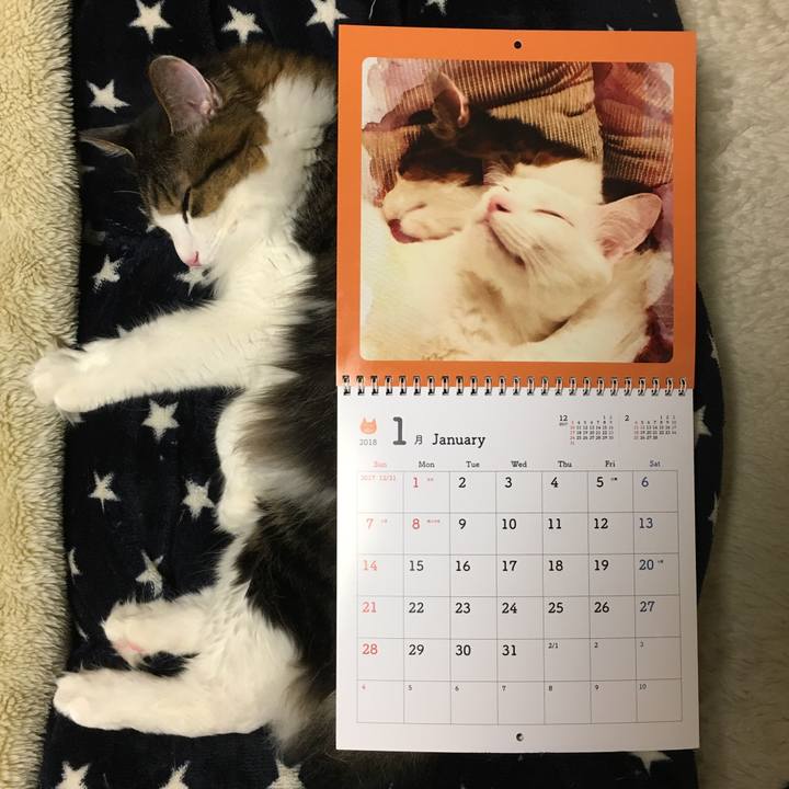 88edb52f 9d97 45df 99bf a6df80e57d50 1514886700193