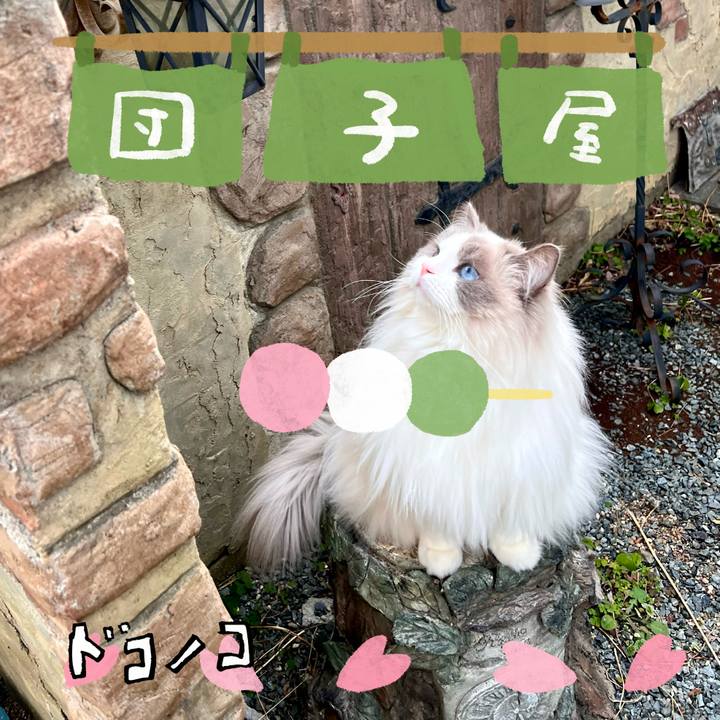 88edd4b8 7869 4cae b813 4d386d6cd9e7 1712305025030