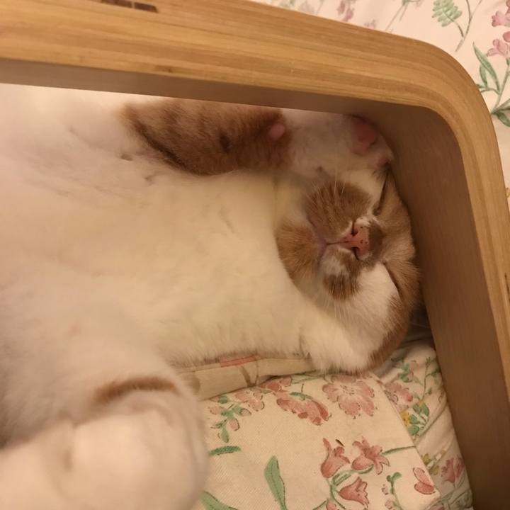 88ededde 791d 4e3c 87a4 8e84e0f7403e 1595846292048