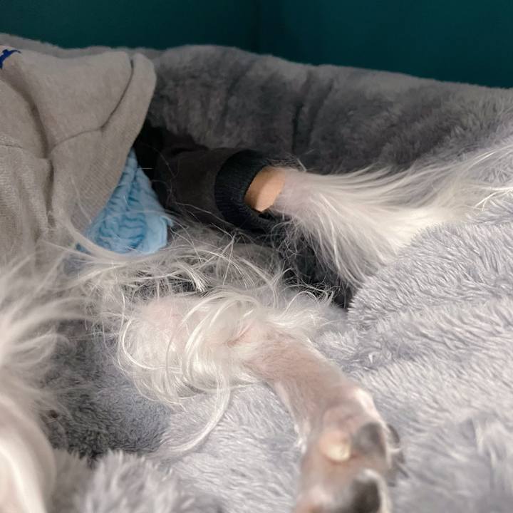 88ee203e 27b0 4acc 8d0e 471c8d9d5276 1773740905485