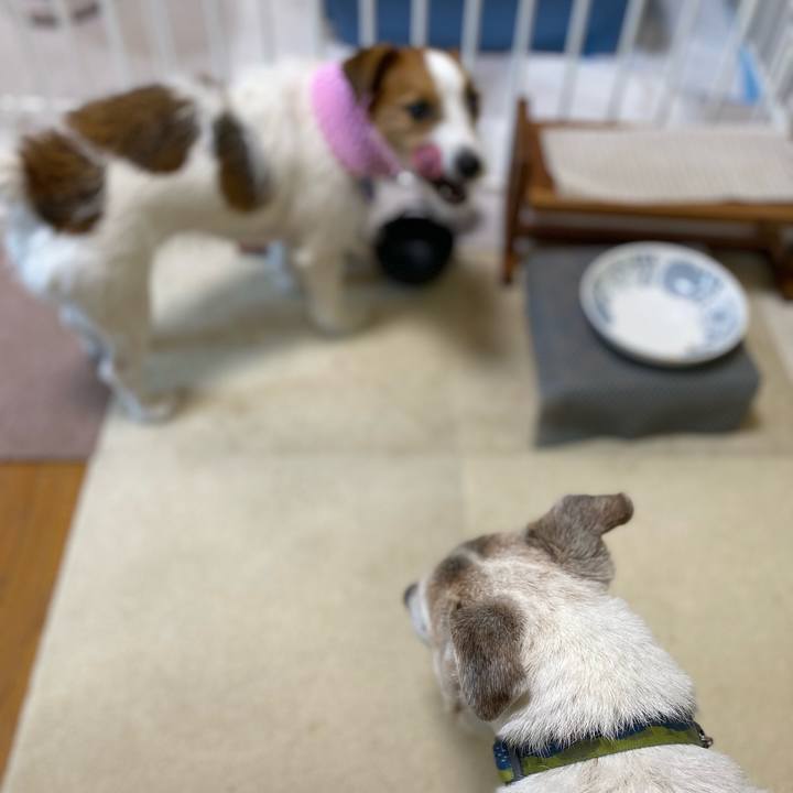 88ee5e9b 51c6 45ac 9c25 c7fa5f9f094e 1723504420231