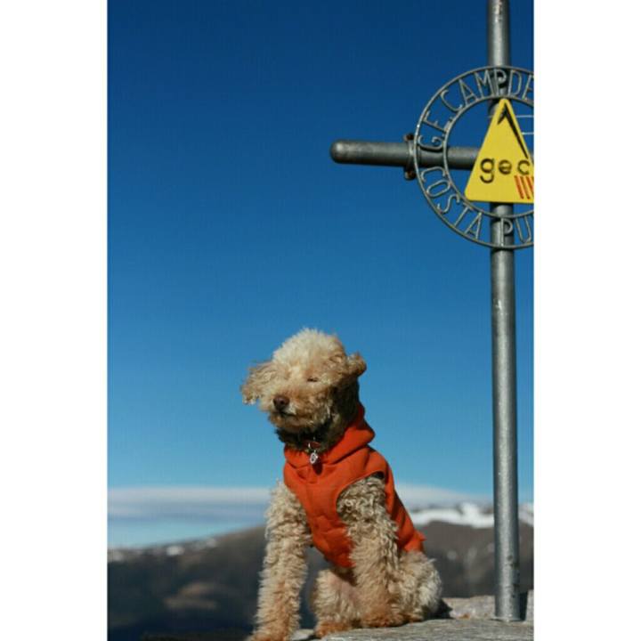 88ee61c5 56bc 4d93 9cd0 a87482b2ab6b 1547050712650