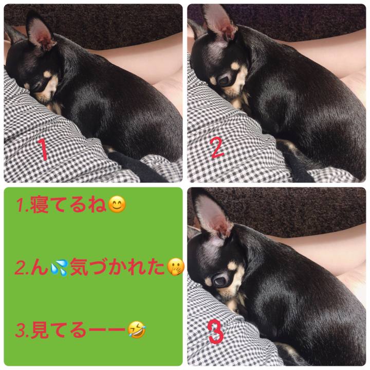 88ee6876 7a4b 4d03 a09f 2acd8607a30a 1562929515122