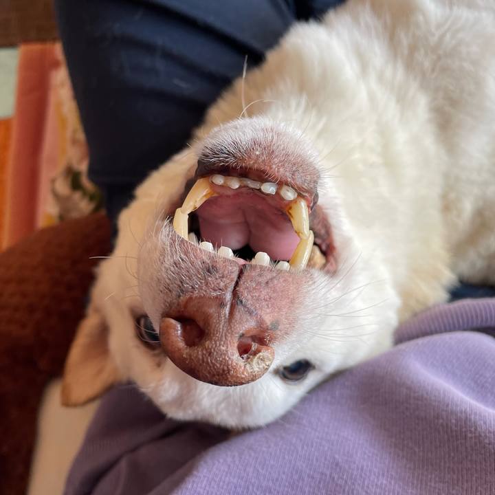 88ee7237 ae37 45b5 b4cb 345ac2d461a8 1675864607037