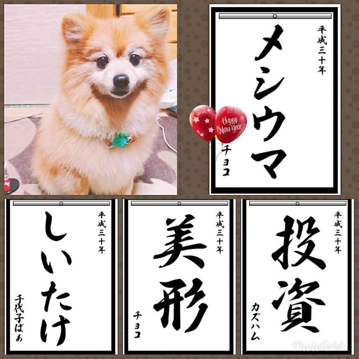 88ee7a41 4620 499c a5ff aa4f51e8889c 1514851223395