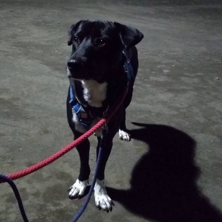 88ee9517 d243 414a 9ffc ac78be2b3a8b 1615891316395