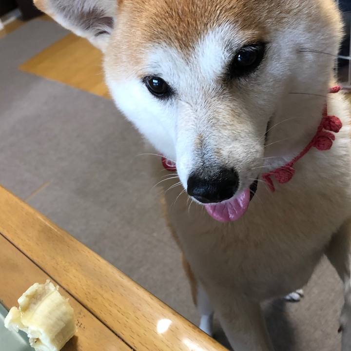 88eead76 2791 4cc1 bbb5 60f4baee2408 1567205064508