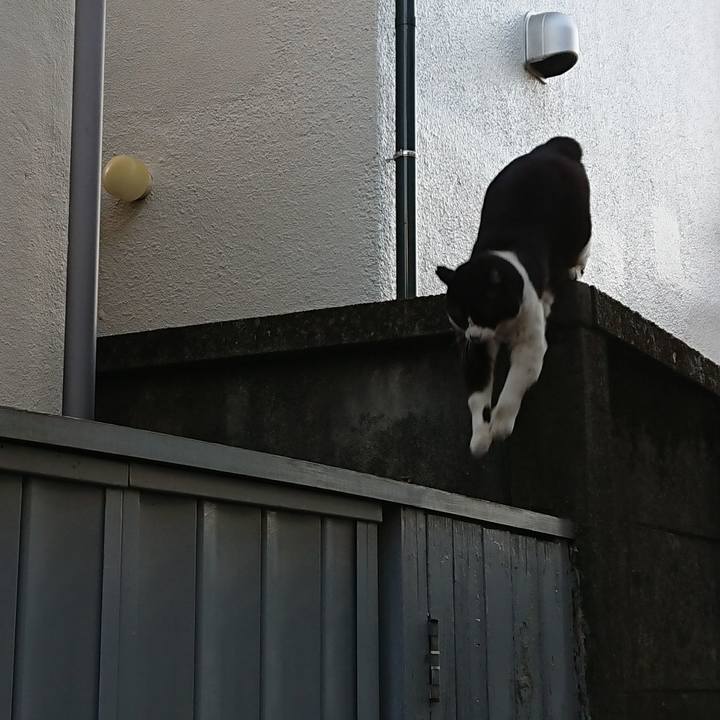 88eeb3c3 f9f5 4fc8 98bd ef589950b402 1613980894219