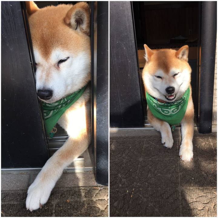 88eec082 2fab 49b9 b9d1 8a22de6bff3c 1558940933912