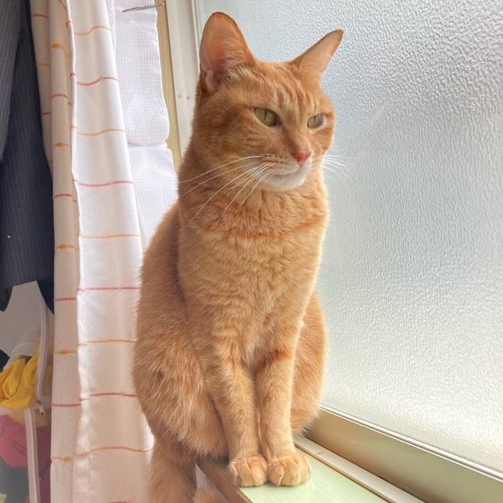 88ef4173 ad24 4fb2 954a 2409d58b90dc 1766816885570