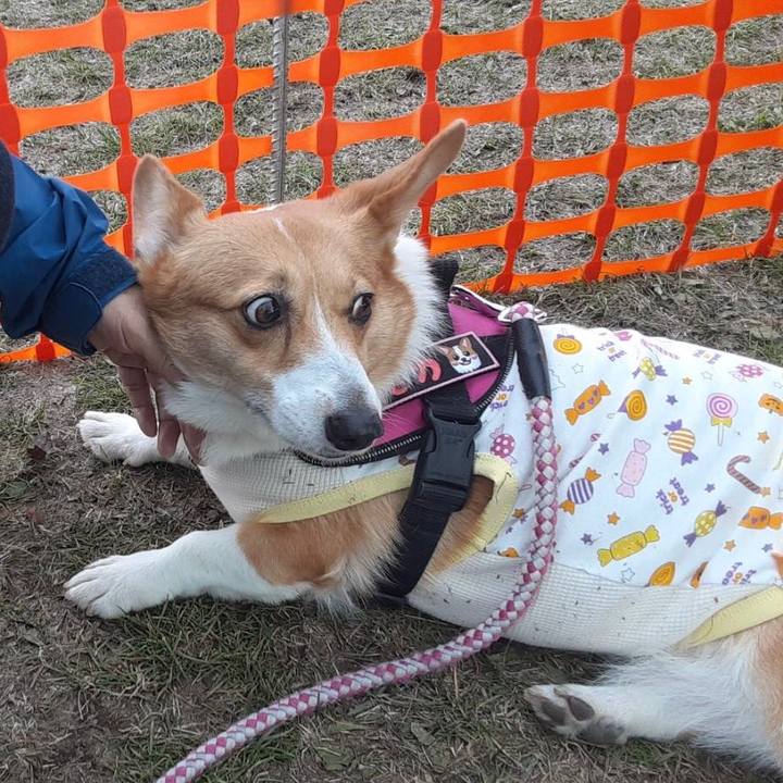 88ef6512 556c 4839 94d9 d82640553c2b 1698414434837