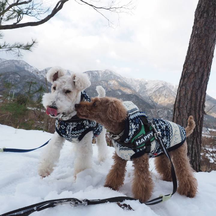 88ef65d9 1f12 4039 b5e5 eea1f5394b59 1548627978804