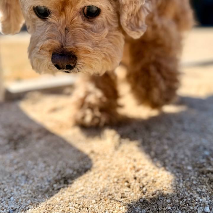 88ef68eb 0789 42d2 a548 72cc3e1ee40b 1773366073849