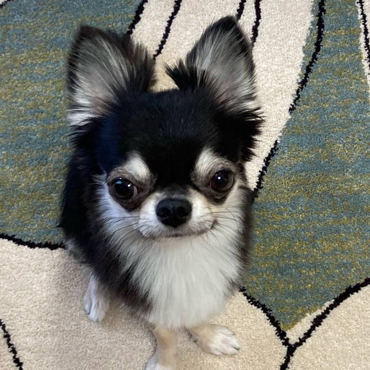 88ef7f7f c5b0 4f1e 9d78 6351667ec33a 1626995277620