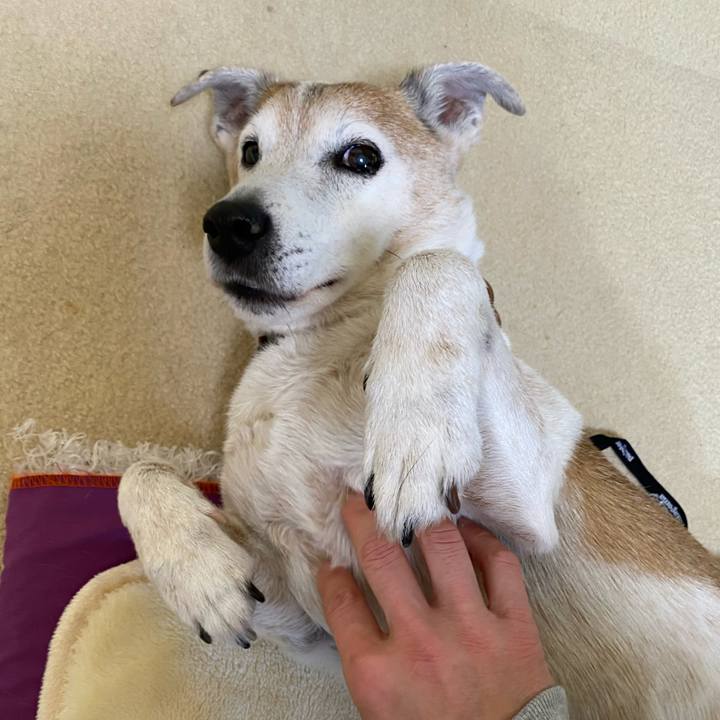 88ef9155 732f 4b7c 8597 b42ddb9bd7f9 1642234677975