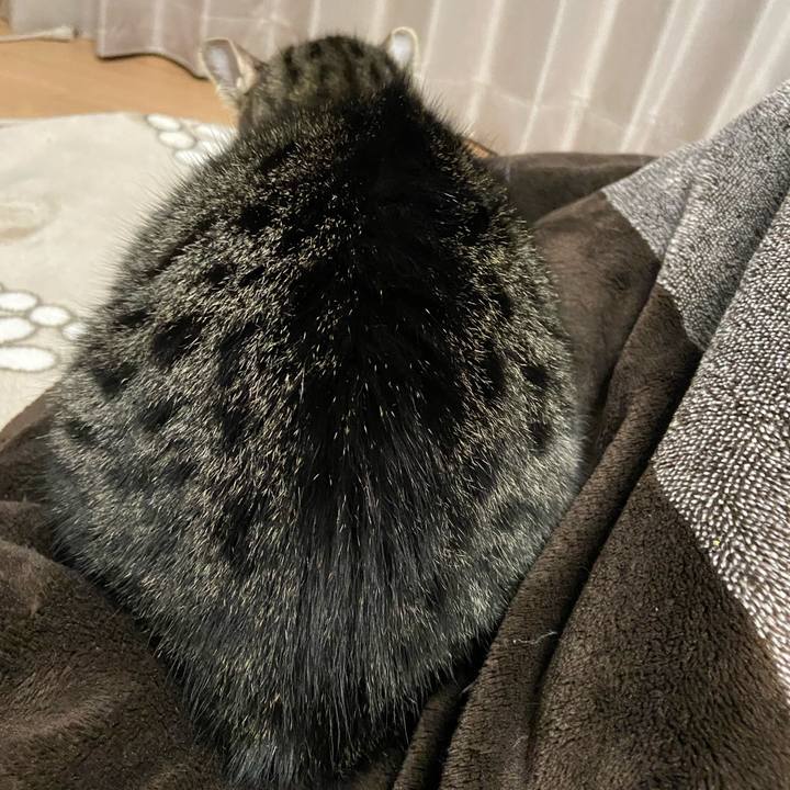 88ef9f6d cb47 4bac bb11 d5916c91daaa 1618141038676