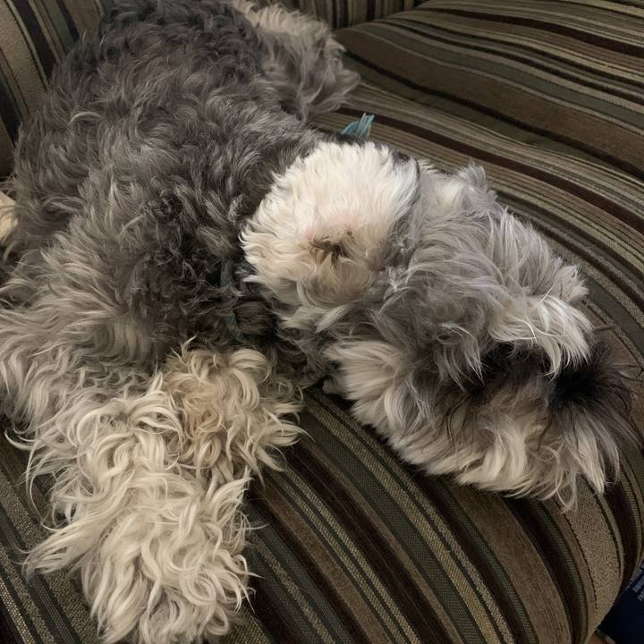 88efa142 d981 4dbe 83ae dbeb62504434 1591754850641