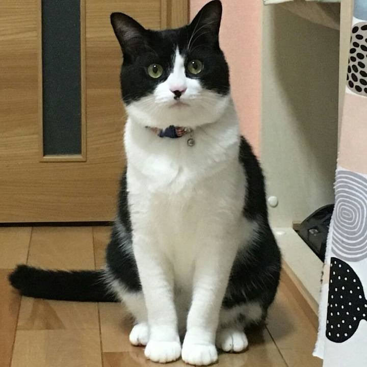 88efaff0 6c6e 4ff1 a8cd 53887545e093 1516460063614