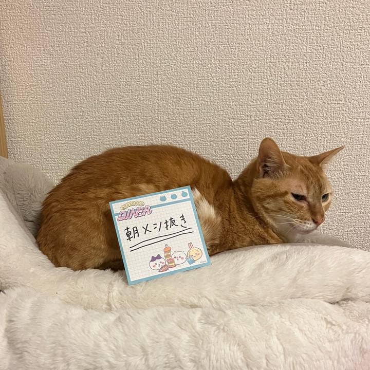 88efb1a2 157c 449b be93 77d24df2a0e5 1774057356825