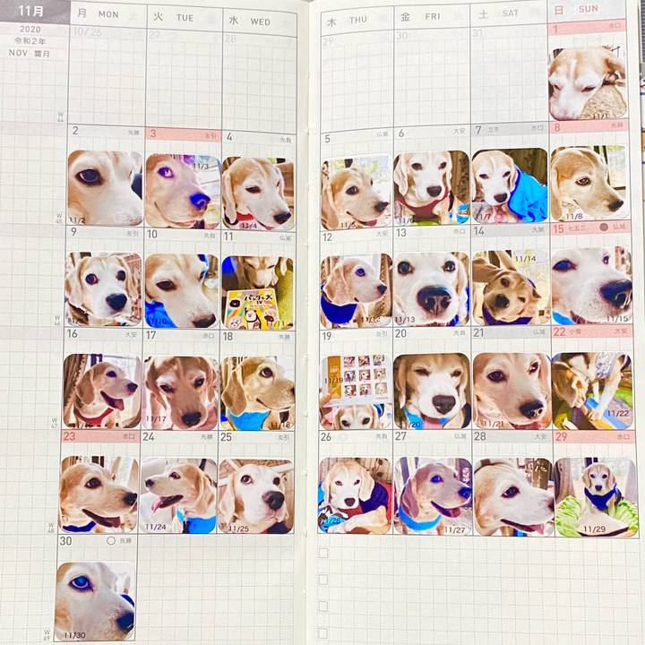 88efd550 12a3 4177 a304 006bd20a2f4c 1609083161568