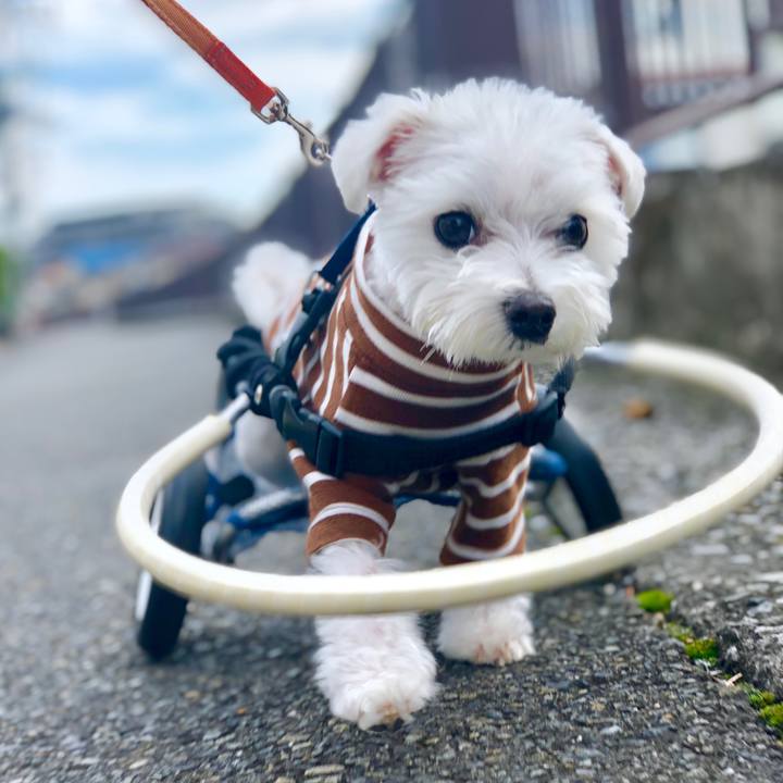 88efe002 ba4b 45af 8e89 7f7281087e49 1570520506642