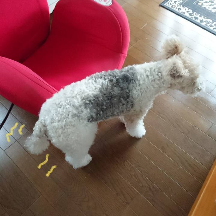 88efedac c1bf 4281 9930 0ea94a6b7872 1525922769962