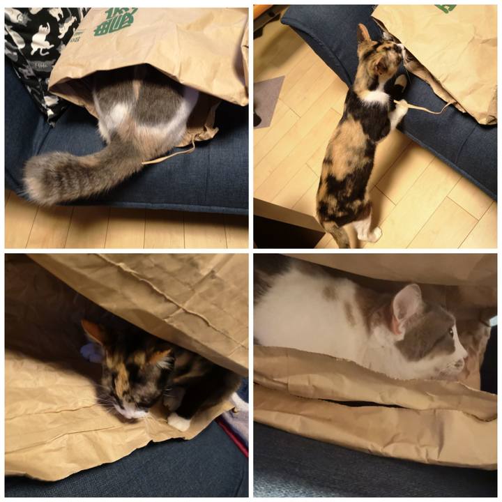 88effca5 c35e 419f a398 39b54c1f12c1 1596721657255