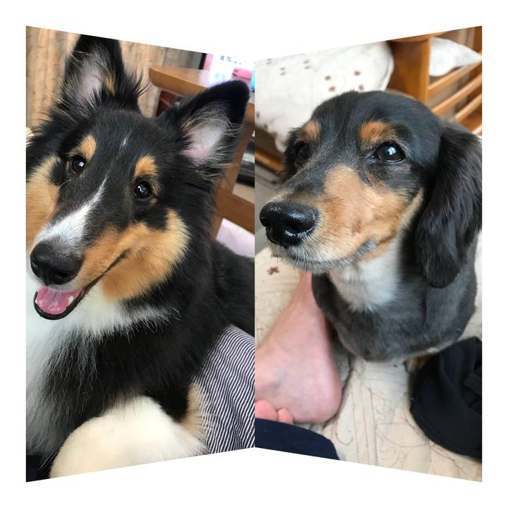 88f025e1 0c8a 458e a058 4a9139666154 1532214912601