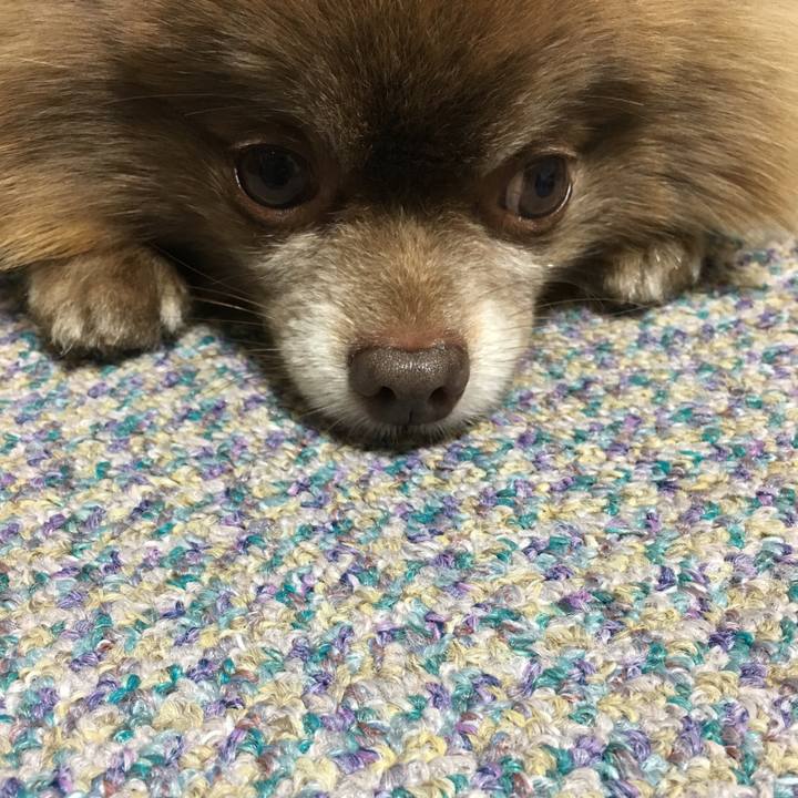 88f03efe 365c 4c07 92b1 d92a00002bdf 1510224001328