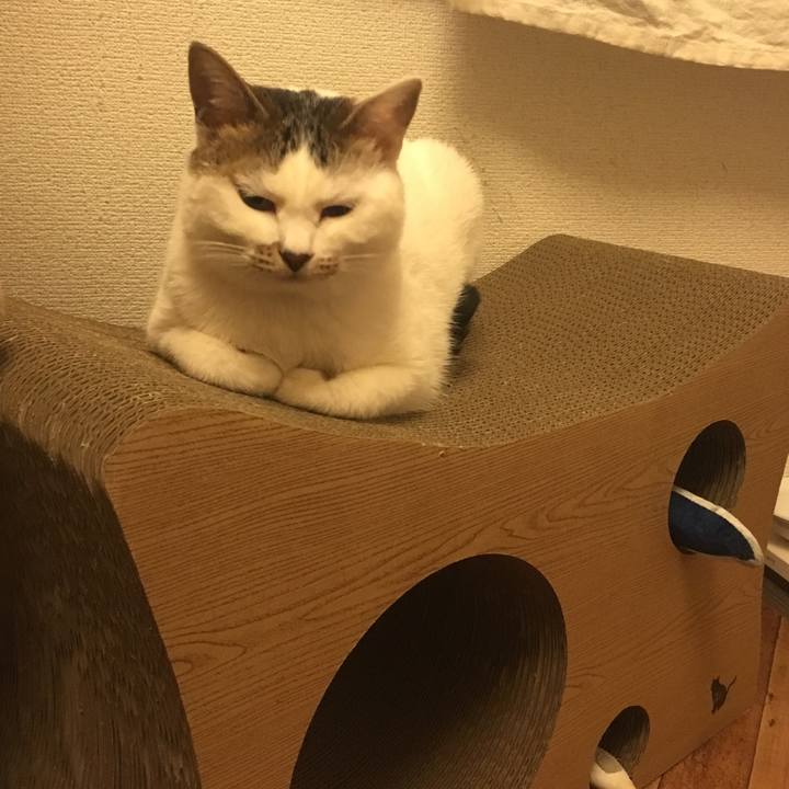 88f06188 5e94 43cb 842f 39ce9adbf429 1523632870900