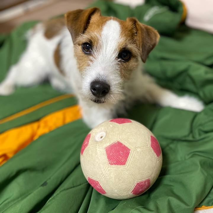 88f09775 f2b9 4b54 a0d4 22e9abce5aae 1740667656152