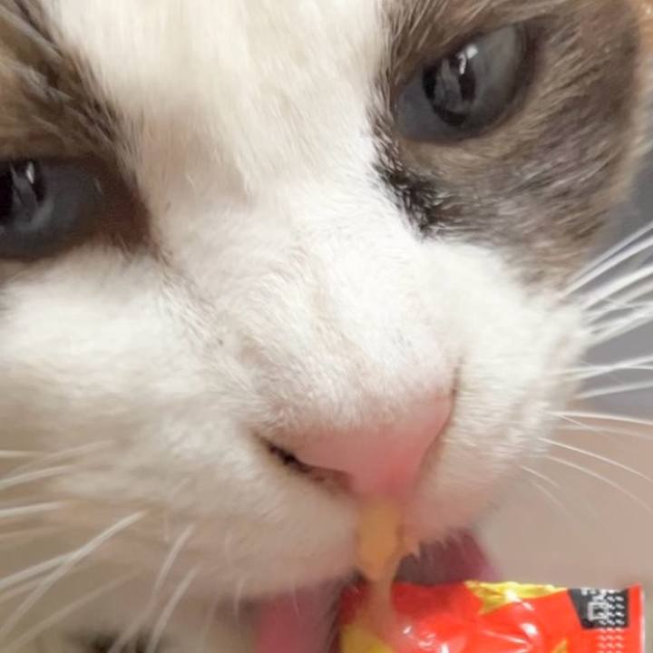 88f0c77d 9ca2 4408 827c 3045ac0be8f1 1730090774737