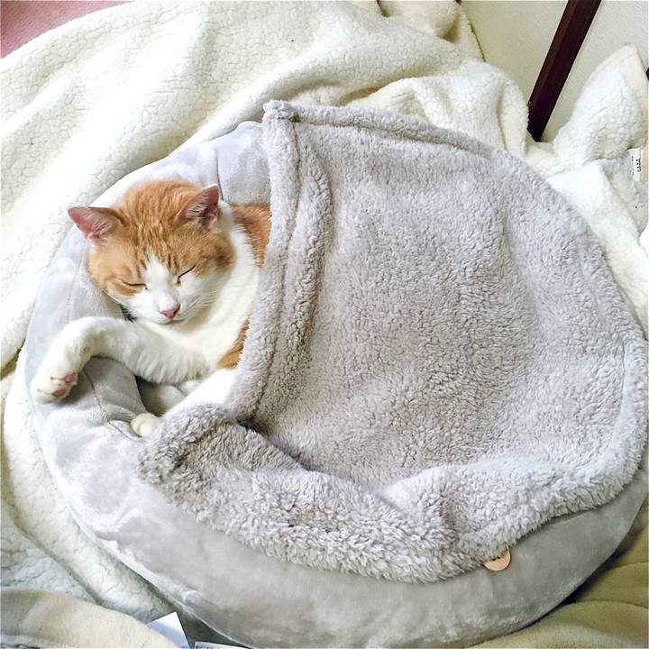 88f0cb07 e45a 434e a26c 4e9d110b78b6 1602455807436