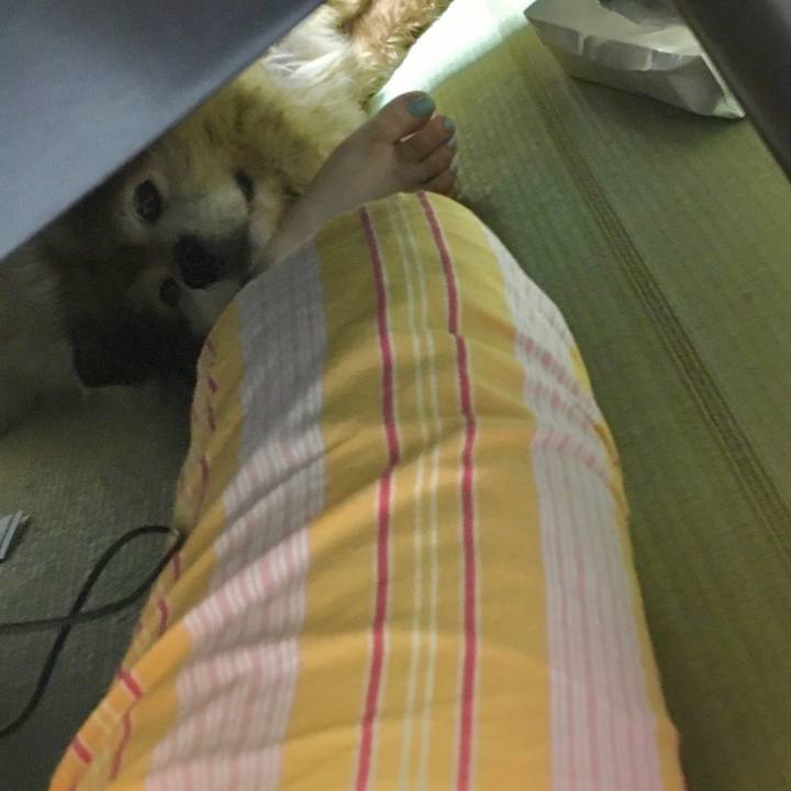 88f0d5d6 2d7c 41dd 891a 9abadd60ea14 1582617020903