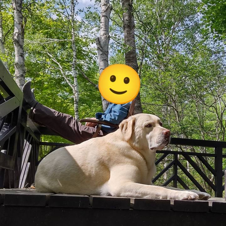 88f0de78 7765 4549 9cef e2e654323837 1654412381344