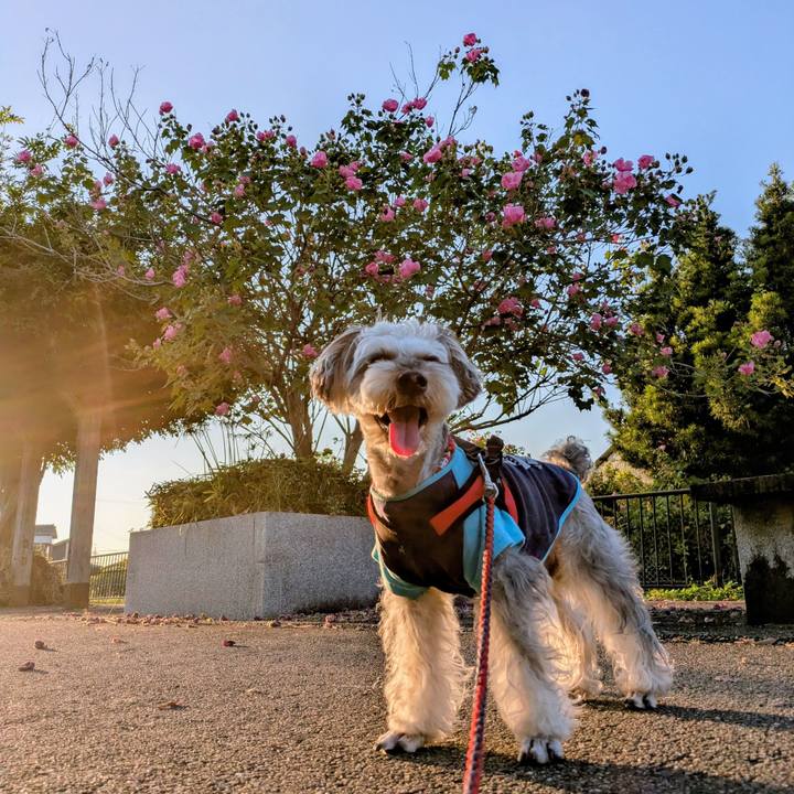 88f0f8f5 60d9 4bb2 b639 4a7d26b5391c 1760358192547