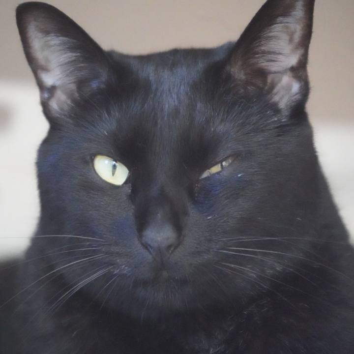 88f11279 1c1e 4ae9 a0f8 71f537c63035 1656120297949