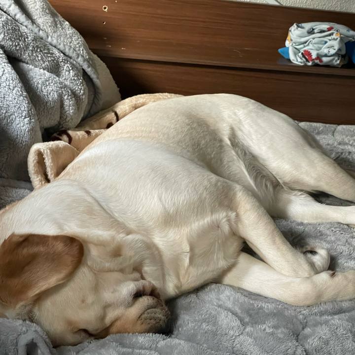 88f15e6b f0f5 4bd3 8d29 ede432c727ca 1646874047602