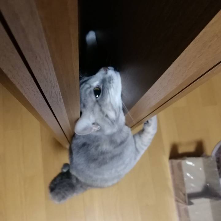 88f1779c b95c 40aa bcc5 d0bee107916c 1513901794602