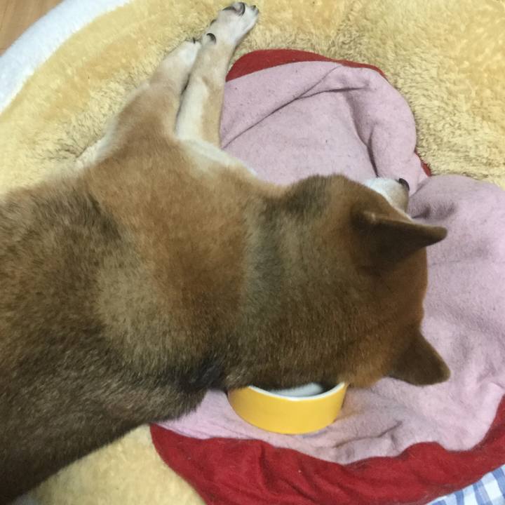 88f178ce edc4 4dce 9ad2 e54f67824da0 1582091550182