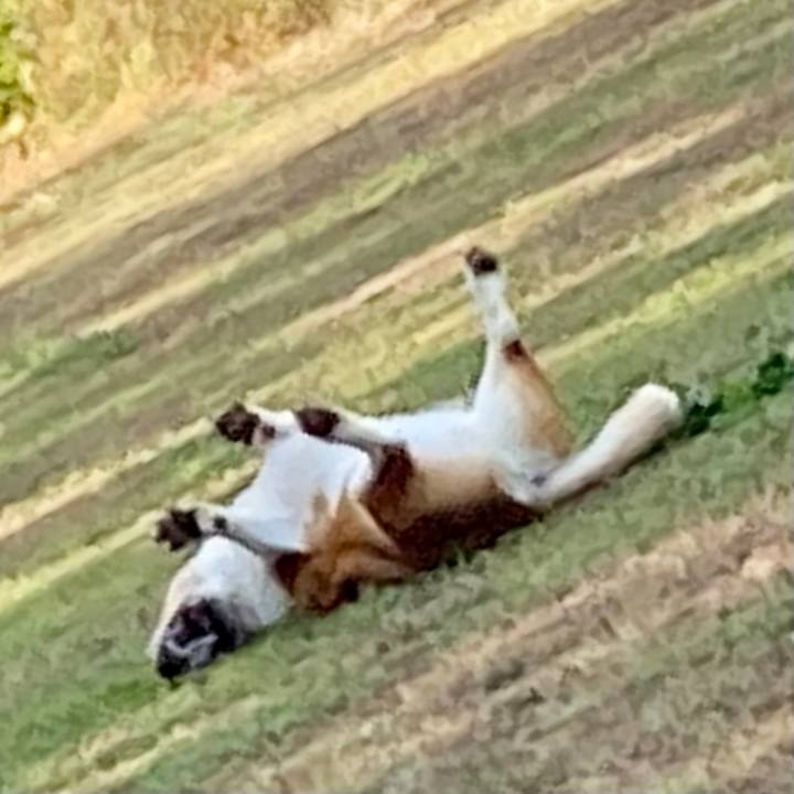 88f1943c 5642 4231 96f0 23812451bfad 1635935829027