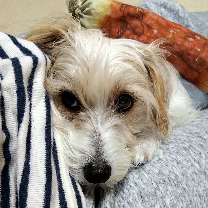 88f1b364 ae01 41f6 90a9 c7799d315b22 1545739277667