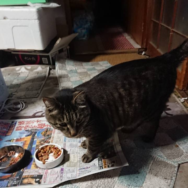 88f1b5a7 1bfe 4a3b 8040 7f311eb4b8e4 1653993649221