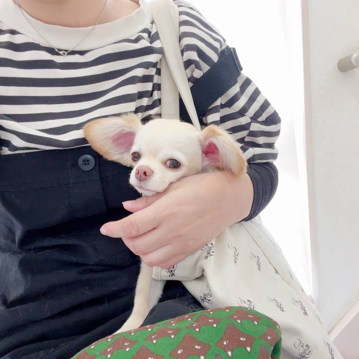 88f1efe1 6f95 4d53 a25d 84dbf0e9292f 1685100595612