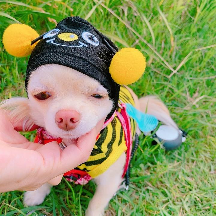 88f1f844 7656 4045 b432 c7d6cd3ae6f8 1621946756770