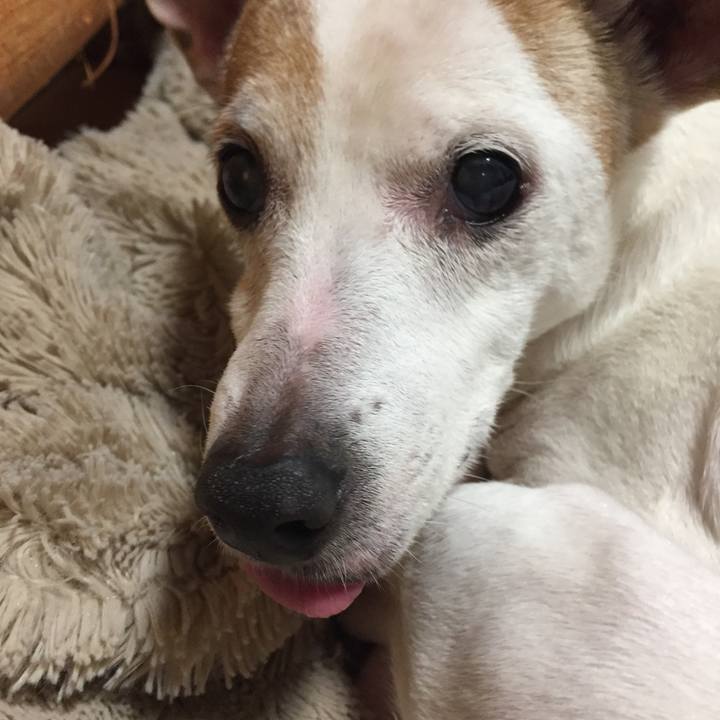 88f233f6 6b75 45da 8960 bad7f6f0d037 1550842904592